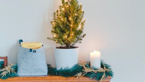 مینی درخت، ایده دکوراسیون کریسمس