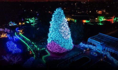 درخت کریسمس از باغ وحش تولدو، ایالات متحده آمریکا