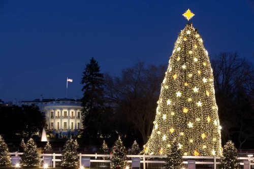 درخت کریسمس ملی کاخ سفید