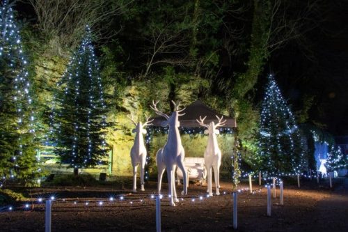 یورکشایر، انگلستان از مقاصد رویایی کریسمس