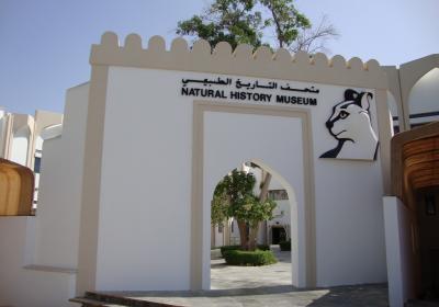 موزه تاریخ طبیعی